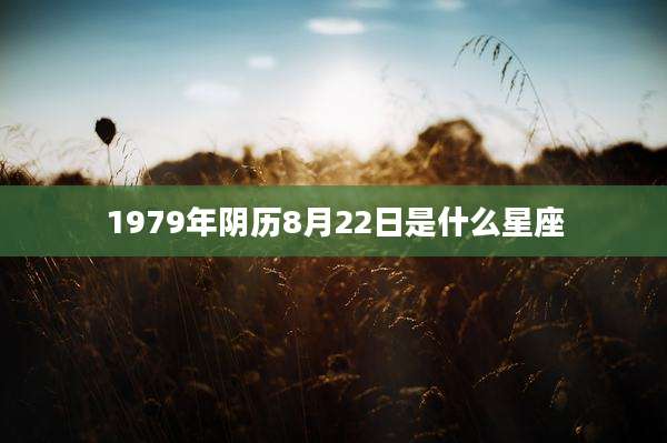 1979年阴历8月22日是什么星座