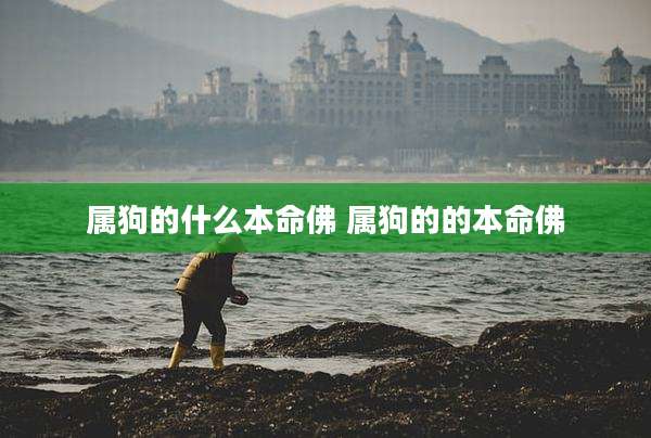 属狗的什么本命佛 属狗的的本命佛