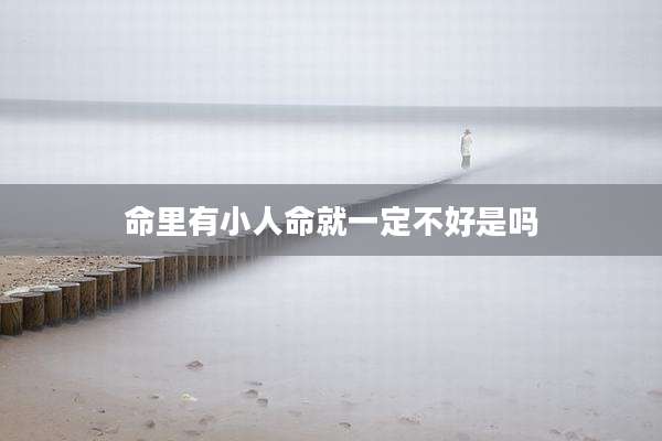 命里有小人命就一定不好是吗
