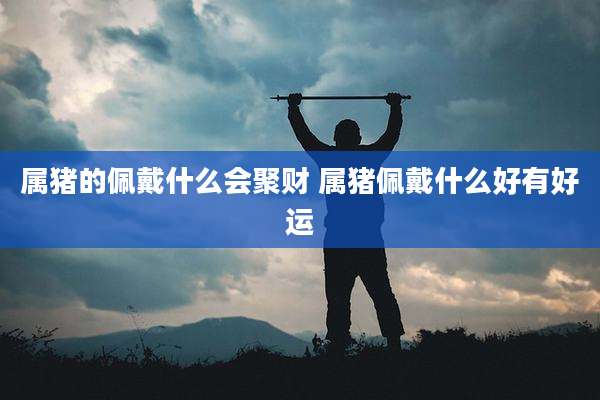 属猪的佩戴什么会聚财 属猪佩戴什么好有好运