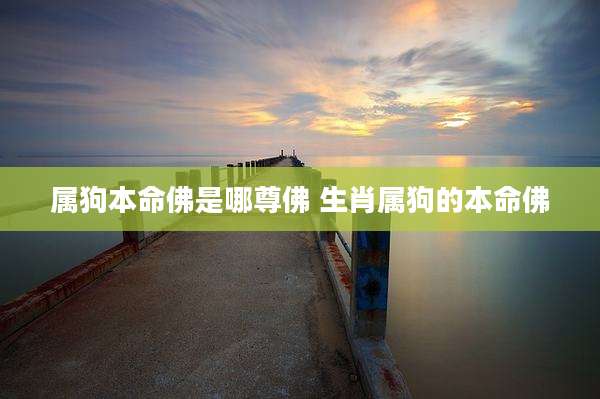 属狗本命佛是哪尊佛 生肖属狗的本命佛