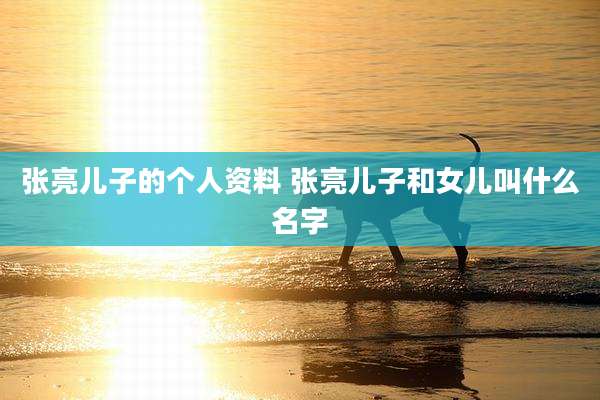 张亮儿子的个人资料 张亮儿子和女儿叫什么名字