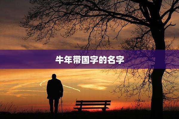 牛年带国字的名字