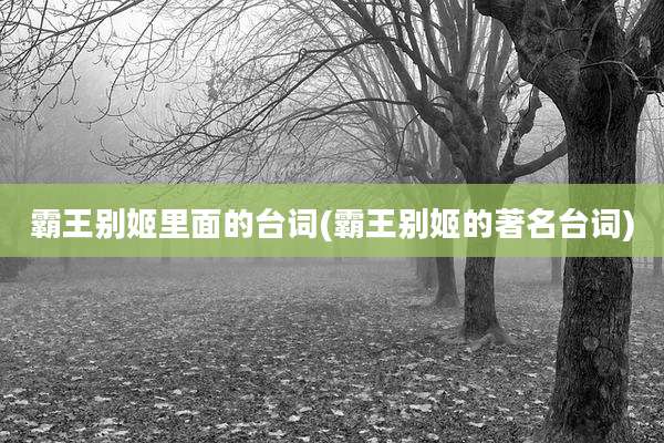霸王别姬里面的台词(霸王别姬的著名台词)