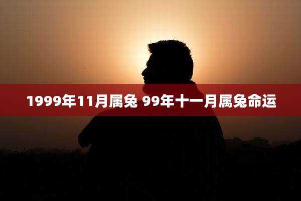 1999年11月属兔 99年十一月属兔命运