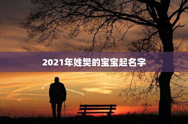 2021年姓樊的宝宝起名字