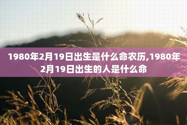 1980年2月19日出生是什么命农历,1980年2月19日出生的人是什么命