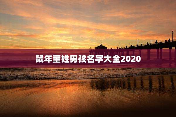 鼠年董姓男孩名字大全2020