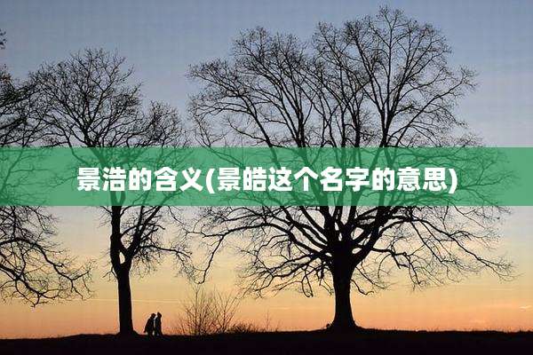 景浩的含义(景皓这个名字的意思)