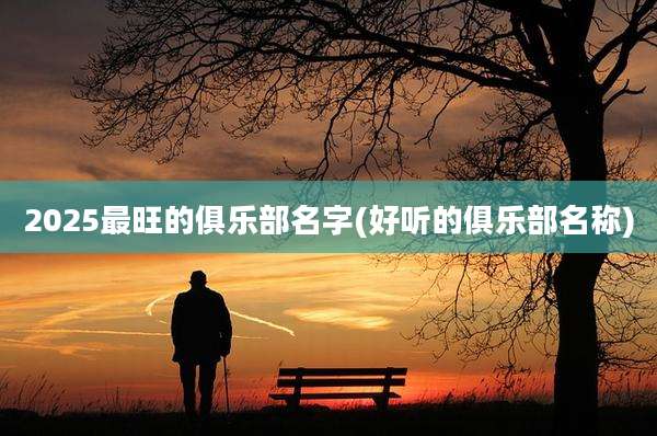 2025最旺的俱乐部名字(好听的俱乐部名称)