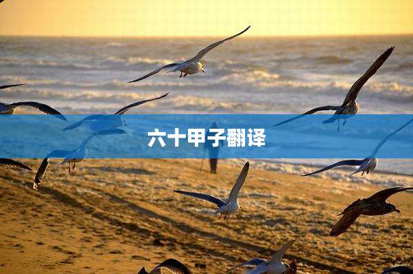 六十甲子翻译