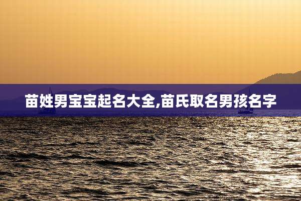 苗姓男宝宝起名大全,苗氏取名男孩名字