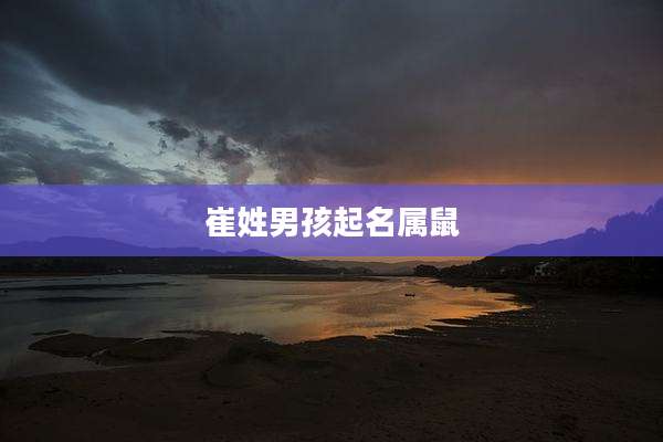 崔姓男孩起名属鼠