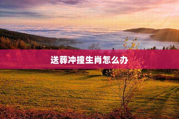 送葬冲撞生肖怎么办