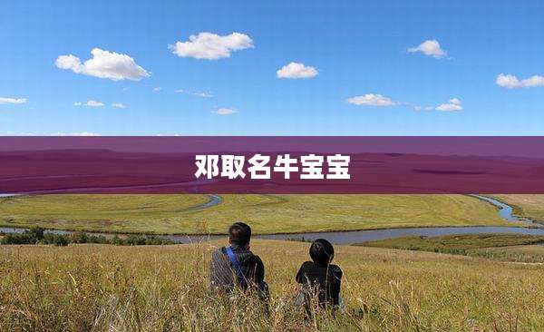 邓取名牛宝宝