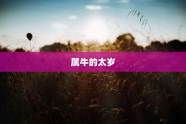 属牛的太岁