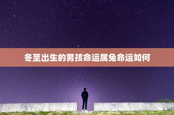 冬至出生的男孩命运属兔命运如何