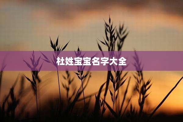 杜姓宝宝名字大全