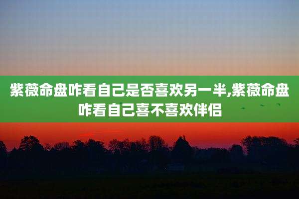 紫薇命盘咋看自己是否喜欢另一半,紫薇命盘咋看自己喜不喜欢伴侣