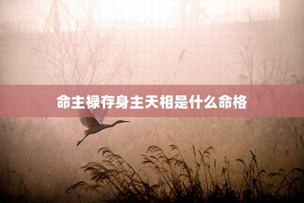 命主禄存身主天相是什么命格