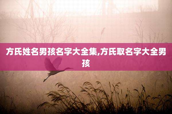 方氏姓名男孩名字大全集,方氏取名字大全男孩