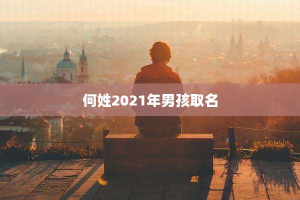 何姓2021年男孩取名