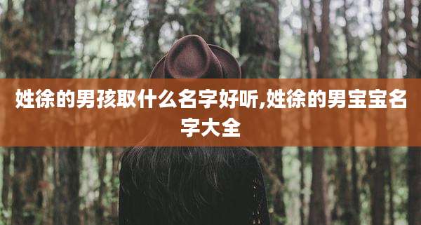 姓徐的男孩取什么名字好听,姓徐的男宝宝名字大全