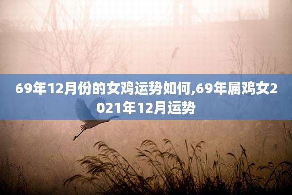 69年12月份的女鸡运势如何,69年属鸡女2021年12月运势