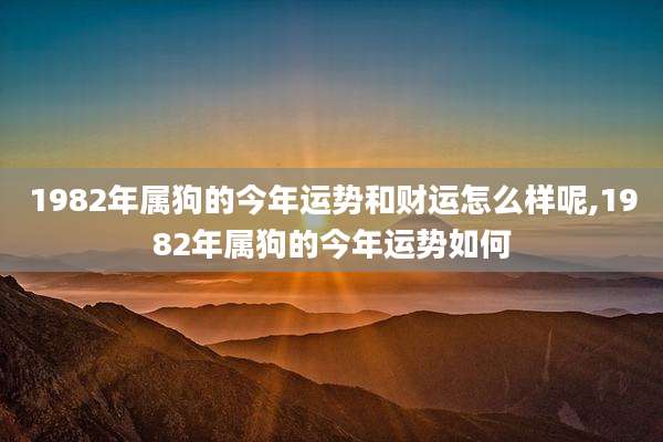 1982年属狗的今年运势和财运怎么样呢,1982年属狗的今年运势如何