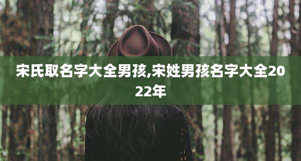 宋氏取名字大全男孩,宋姓男孩名字大全2022年
