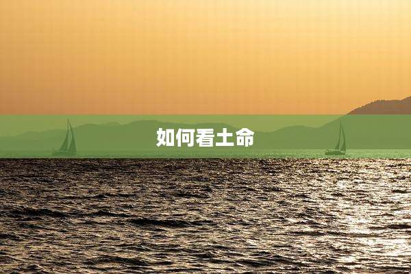 如何看土命