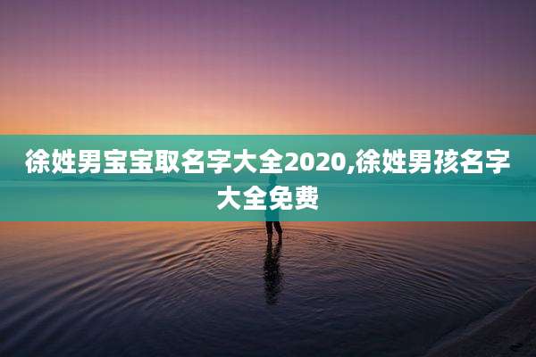 徐姓男宝宝取名字大全2020,徐姓男孩名字大全免费