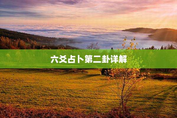 六爻占卜第二卦详解