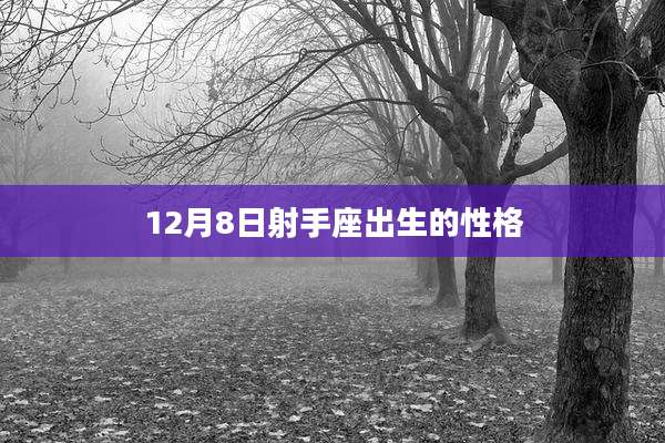 12月8日射手座出生的性格