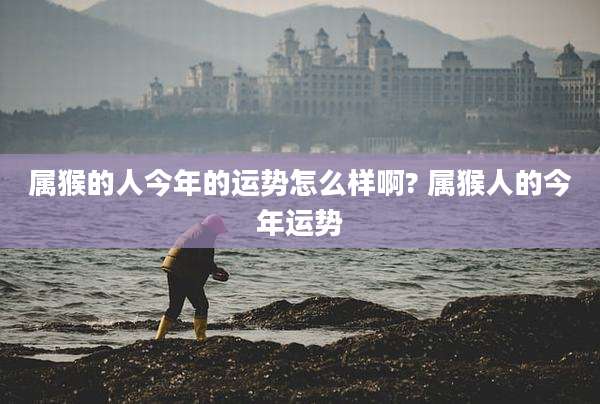 属猴的人今年的运势怎么样啊? 属猴人的今年运势