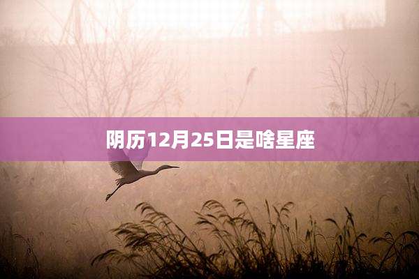 阴历12月25日是啥星座