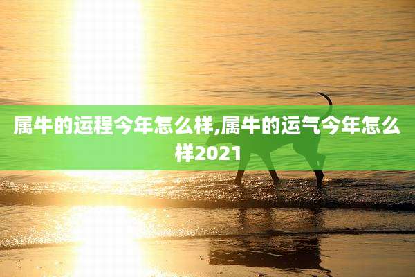 属牛的运程今年怎么样,属牛的运气今年怎么样2021