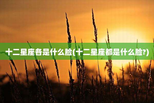 十二星座各是什么脸(十二星座都是什么脸?)