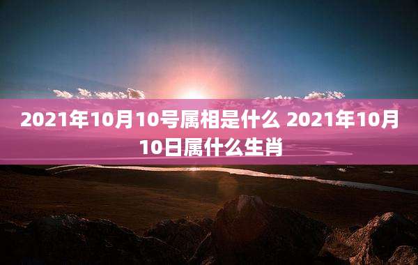 2021年10月10号属相是什么 2021年10月10日属什么生肖