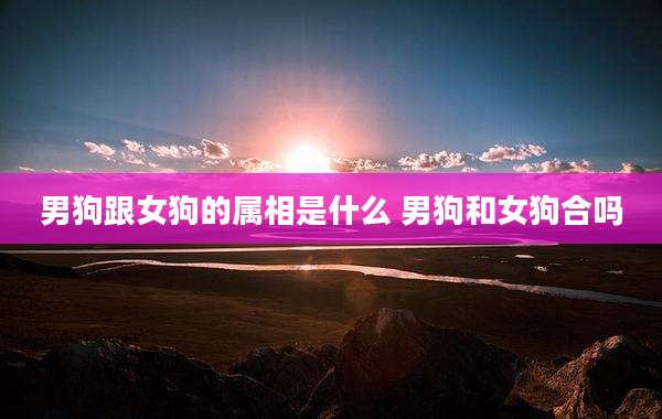 男狗跟女狗的属相是什么 男狗和女狗合吗
