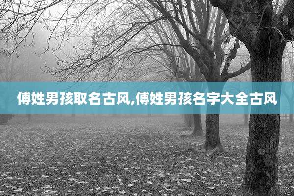 傅姓男孩取名古风,傅姓男孩名字大全古风
