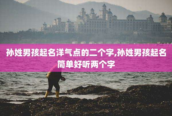 孙姓男孩起名洋气点的二个字,孙姓男孩起名简单好听两个字
