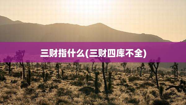 三财指什么(三财四库不全)