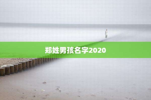 郑姓男孩名字2020