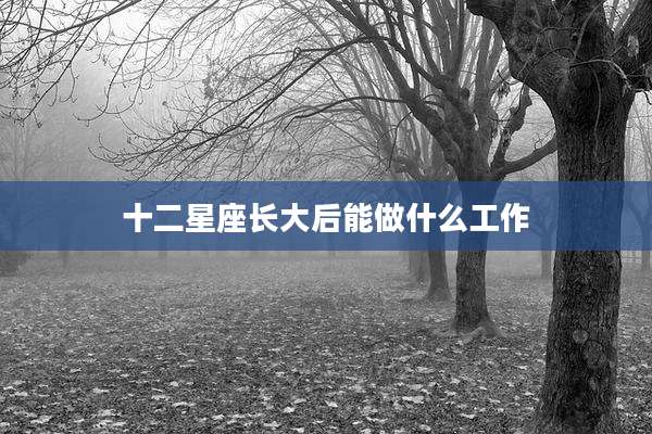 十二星座长大后能做什么工作