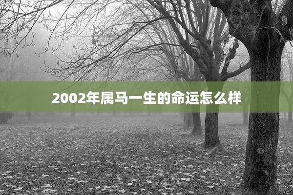 2002年属马一生的命运怎么样