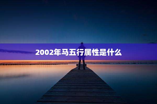 2002年马五行属性是什么