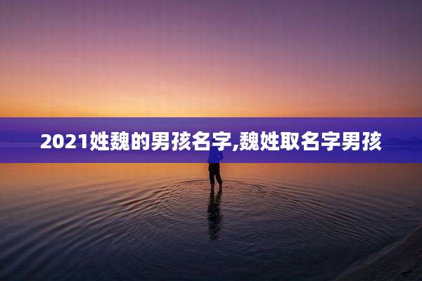 2021姓魏的男孩名字,魏姓取名字男孩