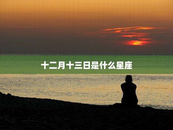 十二月十三日是什么星座