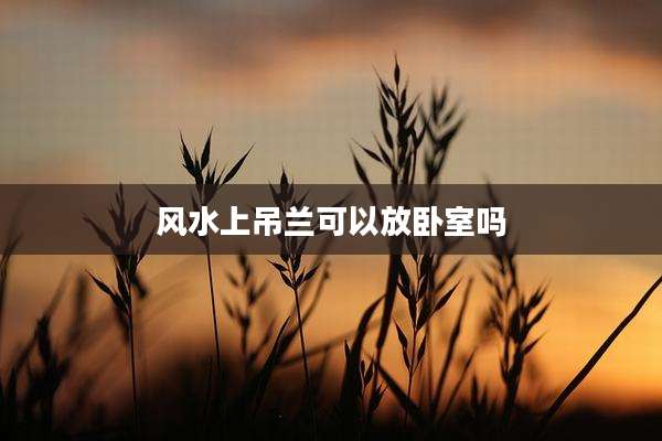 风水上吊兰可以放卧室吗